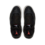 Air Jordan 4 Retro SE