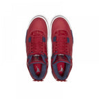 AIR JORDAN 4 SE "FIBA"